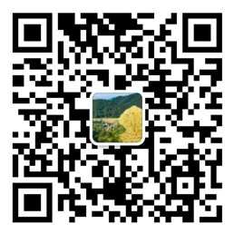 彩神彩票官网登录平台